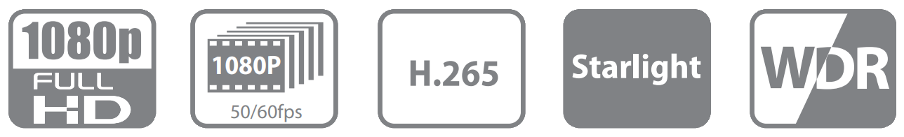 DH-IPC-HDB4231GP-AS